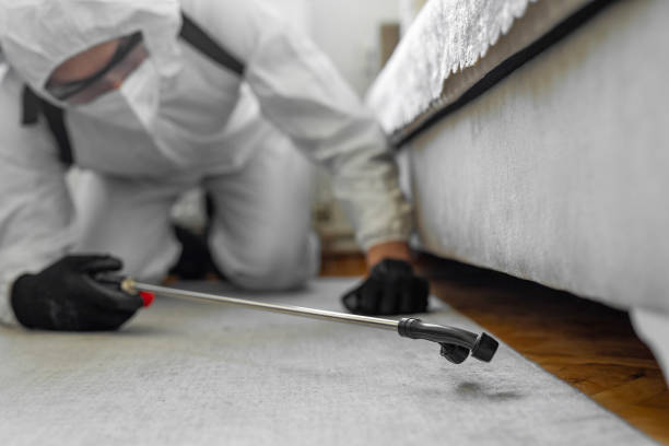 Professional Mosquito Control technician working in Lambert, MS