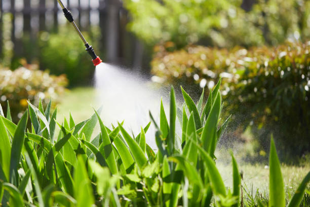 24/7 Emergency Mosquito Control experts in Lambert, MS